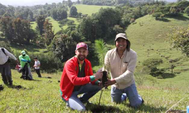 Con campaña Fabriquemos Agua Reforestando se priorizó  la reforestación de 300 hectáreas devastadas por incendios 