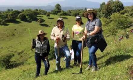 El Poder Legislativo, coadyuvante en las acciones que rescaten al medio ambiente: Rosalinda Galindo Silva 