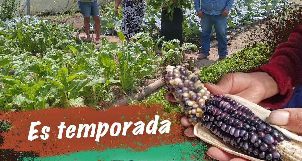 SEDARPA sensibiliza con la campaña “Todos a Sembrar”