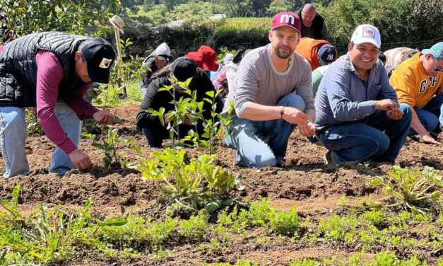 Preservar el medio ambiente demanda acciones contundentes: Paul Martínez