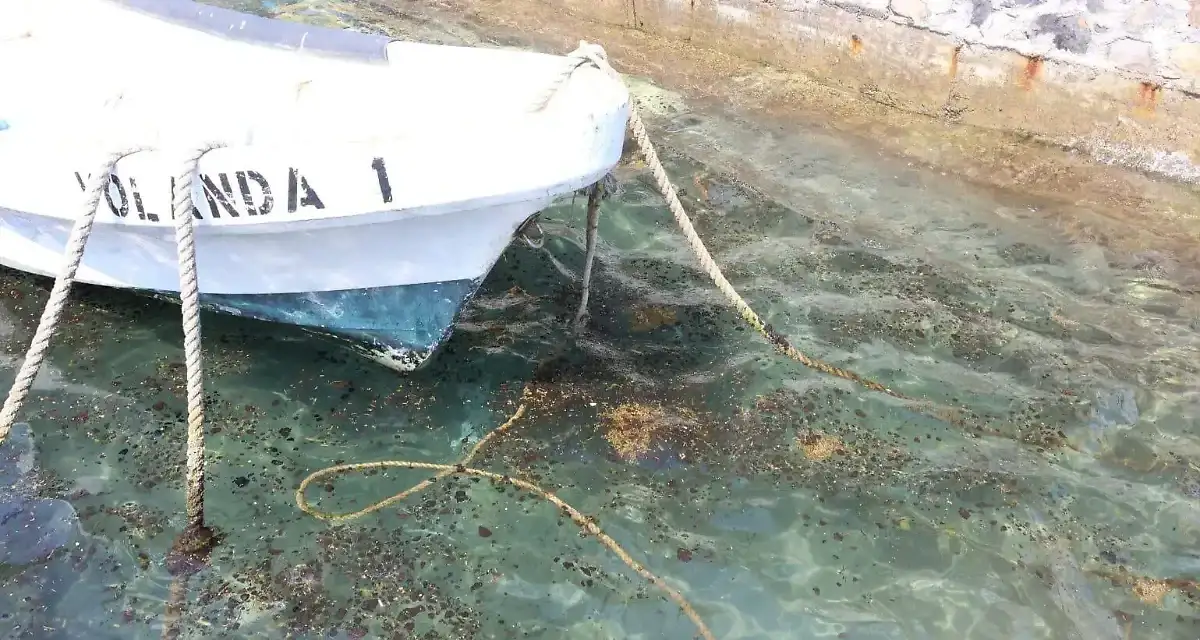 Derrame de hidrocarburo alcanza a 20 municipios de Veracruz; mapeo revela 37 puntos sin atención