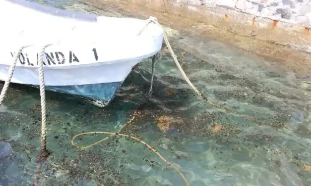 Derrame de hidrocarburo alcanza a 20 municipios de Veracruz; mapeo revela 37 puntos sin atención