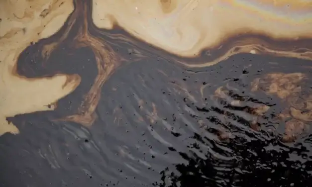 Las costas del Golfo enfrentarán secuelas prolongadas por derrame en Veracruz